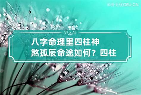 日柱 孤辰|日柱孤辰是什么意思 八字带什么神煞不利于婚姻